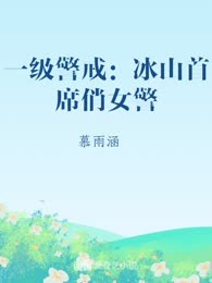 一级警戒：冰山首席俏女警
