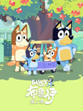 布鲁伊 第2季
