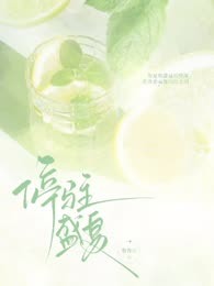 停驻盛夏