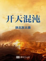 开天混沌
