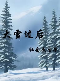 大雪过后
