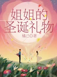 姐姐的圣诞礼物