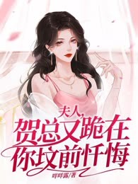夫人，贺总又跪在你坟前忏悔
