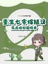 重生七零嫁糙汉，极品媳妇超旺夫
