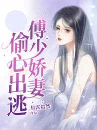 傅少娇妻偷心出逃