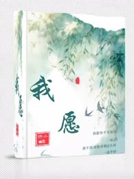 我愿2