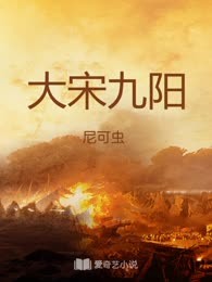 大宋九阳
