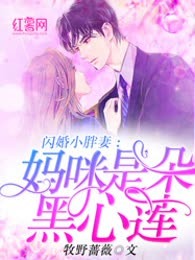 闪婚小胖妻：妈咪是朵黑心莲