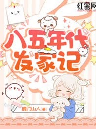 八五年代发家记