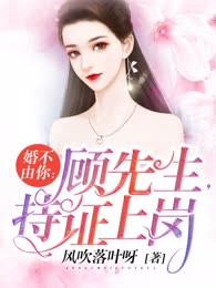 婚不由你：顾先生，持证上岗