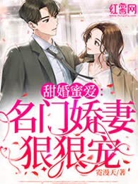 甜婚蜜爱：名门娇妻狠狠宠