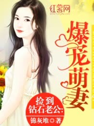 捡到钻石老公：爆宠萌妻