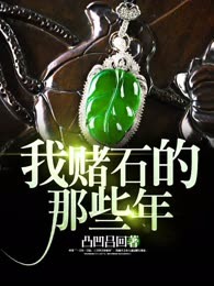 我赌石的那些年