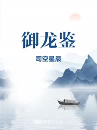 御龙鉴
