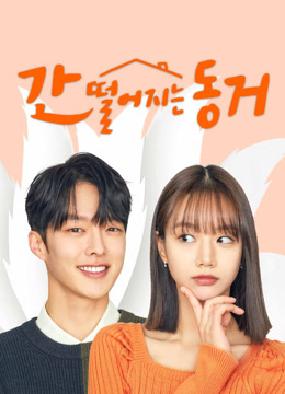 온라인에서 시 간 떨어지는 동거 (2021) 자막 언어 더빙 언어