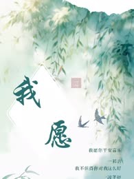 我愿2
