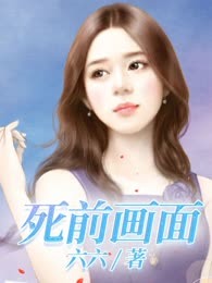死前画面