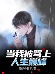 当我被骂上人生巅峰