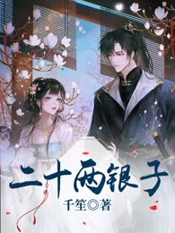 二十两银子