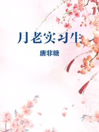 月老实习生
