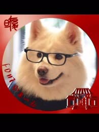 权游：双城之战