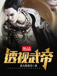 绝品透视武帝