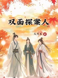 双面探案人