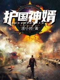 护国神婿