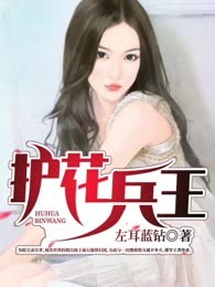 护花兵王