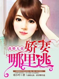 离婚无效：娇妻哪里逃
