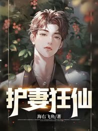 护妻狂仙