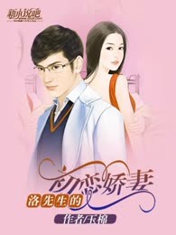 洛先生的初恋娇妻