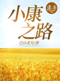 小康之路