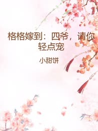 格格嫁到：四爷，请你轻点宠