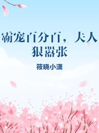 霸宠百分百，夫人狠嚣张