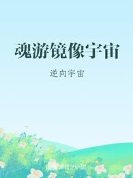 魂游镜像宇宙