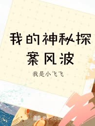 我的神秘探案风波
