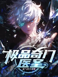 极品奇门医圣