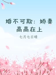 婚不可欺：娇妻高高在上
