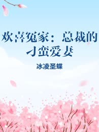 欢喜冤家：总裁的刁蛮爱妻