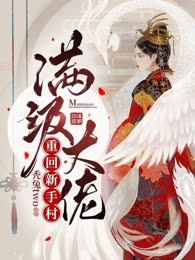 满级大佬重回新手村