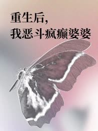 重生后，我恶斗疯癫婆婆