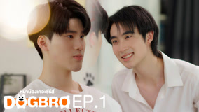 Watch the latest DogBro Episode 1 (2025) online with English subtitle for free English Subtitle