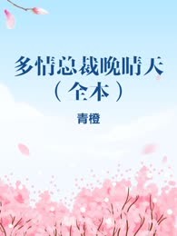 多情总裁晚晴天（全本）