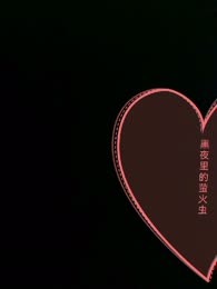 黑夜里的萤火虫