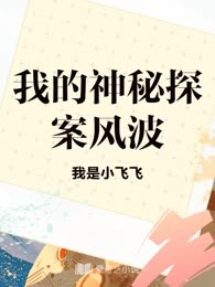 我的神秘探案风波